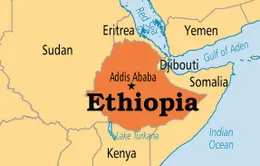 Máy bay rơi tại Ethiopia, 18 người thiệt mạng