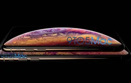 Đây chính là iPhone XS và XS Plus!