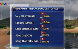 Lũ nhiều sông ở Bắc Bộ, Bắc Trung Bộ dâng cao, lên mức cảnh báo khẩn cấp