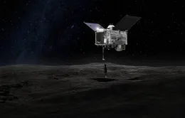 NASA sắp có mẫu vật từ tiểu hành tinh có thể là "mẹ" của Trái đất