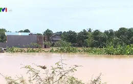 Sơ tán hơn 1.000 hộ dân vì lũ sông Mã dâng cao