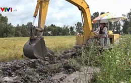 Kiên Giang triển khai nhiều giải pháp chống lũ