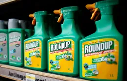 Tranh cãi về thuốc diệt cỏ Glyphosate