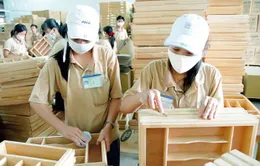 7 tháng đầu năm, xuất khẩu gỗ và lâm sản đạt hơn 5 tỷ USD