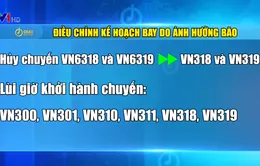 Vietnam Airlines điều chỉnh lịch bay đến Nhật Bản do bão Shanshan