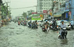 “Công tác chống ngập ở TP.HCM tốn kém nhưng hiệu quả chưa cao”