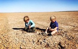 New South Wales tuyên bố tình trạng hạn hán toàn bang