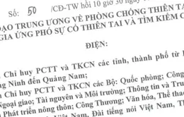 Công điện ứng phó bão số 5 (bão Mangkhut)