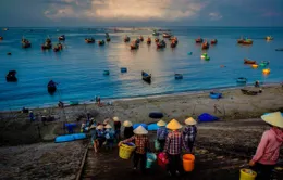 Đi chợ cá buổi sớm mai