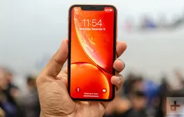 Hôm nay (26/10), iPhone XR chính thức lên kệ