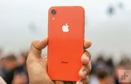 Apple nhận tin buồn đến từ iPhone XR