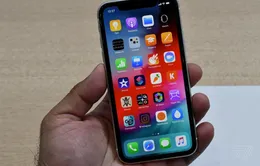 Trên tay iPhone XR "giá rẻ": Thiết kế tuyệt đẹp, đáng cân nhắc nâng cấp