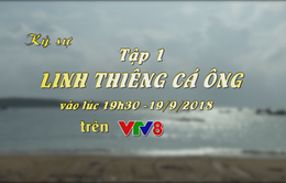 Ký sự "Linh thiêng cá ông" (Tập 01, 19h30 thứ Tư, 19/9) trên VTV8