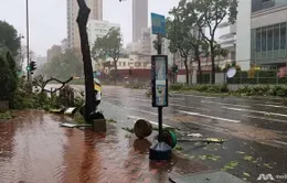 Bão Mangkhut đổ bộ Trung Quốc, 2 người thiệt mạng