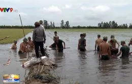 Kiên Giang khẩn trương ứng phó với lũ đang lên nhanh