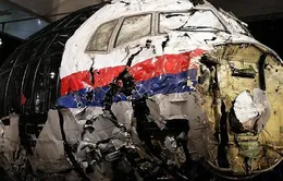 Ukraine phản ứng tuyên bố mới của Nga về việc bắn rơi máy bay MH17