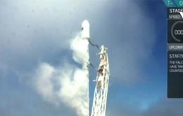 SpaceX sẽ tiết lộ danh tính hành khách bay lên Mặt trăng