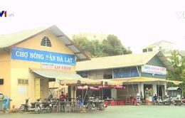 Lâm Đồng: Cấm nông sản ngoài địa phương vào chợ Đà Lạt