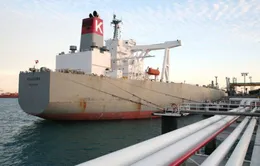 Nhật Bản lên kế hoạch ngừng nhập dầu từ Iran