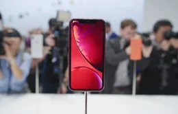 Cùng ngắm iPhone Xr để lựa chọn cho mình phương án tối ưu nhất