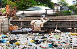 Thủ đô Phnom Penh, Campuchia chống rác thải nhựa