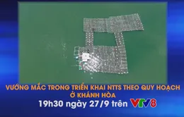 Nhịp sống miền Trung "Vướng mắc trong triển khai NTTS theo quy hoạch ở Khánh Hòa"