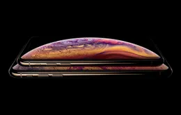 iPhone XS Max bán chạy gấp 4 lần iPhone XS