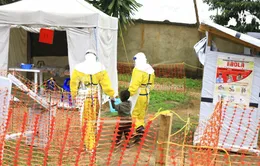 Bạo lực và hỗn loạn "tiếp tay" cho dịch Ebola bùng phát tại Congo