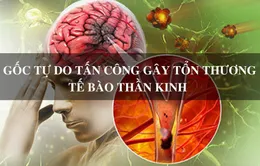 Gốc tự do - Nguy cơ tiềm ẩn của đột quỵ