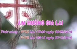 Người nông dân hiện đại "Âm hưởng Gia Lai" (17h, 30/9 VTV2; 10h15, 07/10 VTV8)