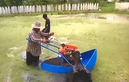 Người đàn ông Thái Lan giữ đất ở gần Thủ đô đề làm nông