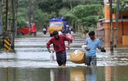 Ấn Độ: Bệnh dịch hoành hành tại bang Kerala sau lũ lụt