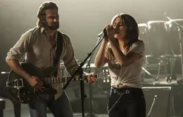 Bradley Cooper tiết lộ nguồn cảm hứng cho nhân vật trong "A Star Is Born"