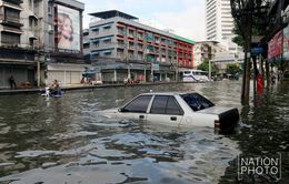 Hơn 2.000 đại biểu tham dự vòng đàm phán cuối cùng về biến đổi khí hậu tại Thái Lan