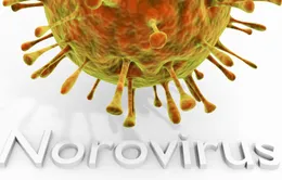 Bùng phát norovirus khiến 600 học sinh phải nghỉ học tại Mỹ