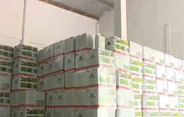 Nhiều đơn vị bắt tay tiêu thụ sản phẩm chưa được phép lưu hành