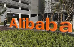 Alibaba đóng cửa 240.000 gian hàng trực tuyến buôn bán hàng giả