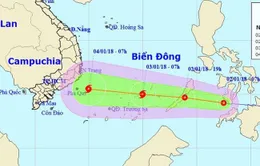 Các tỉnh, TP ven biển từ Đà Nẵng đến Kiên Giang chủ động ứng phó với áp thấp nhiệt đới