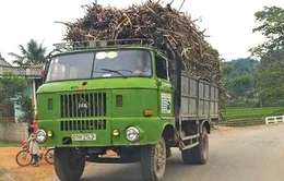 Khó khăn xử lý xe ô tô hết niên hạn sử dụng