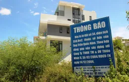 Khởi tố, truy nã Giám đốc Dự án Ocean View Nha Trang