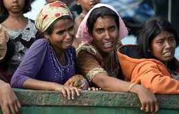 Bangladesh hoãn tiến trình hồi hương người tị nạn Rohingya về Myanmar