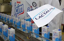 Thêm 99 lô sản phẩm của Tập đoàn Lactalis có nguy cơ nhiễm khuẩn