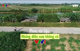 Những bộ phim tài liệu lên sóng VTV1 dịp Tết Nguyên đán Kỷ Hợi