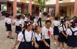 TP.HCM: Các trường tiểu học đạt chuẩn quốc gia khó duy trì chuẩn bền vững