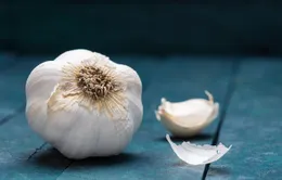 Mối liên quan giữa tỏi và HIV?
