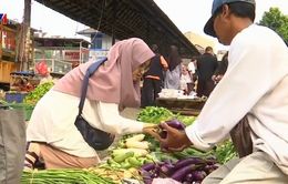 Cô gái đi tiên phong trong lối sống không rác thải tại Indonesia