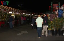Chợ hoa Phước Lộc Thọ của người Việt tại Mỹ vắng khách