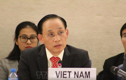 Việt Nam cam kết tiếp tục nỗ lực thúc đẩy và bảo vệ quyền con người theo các chuẩn mực quốc tế