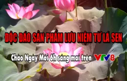 Độc đáo hàng lưu niệm từ lá sen (Chào Ngày Mới, 6h ngày 25/1, VTV8)