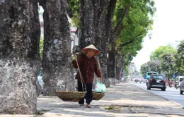 Toàn miền Trung tạnh ráo, trưa chiều có nắng